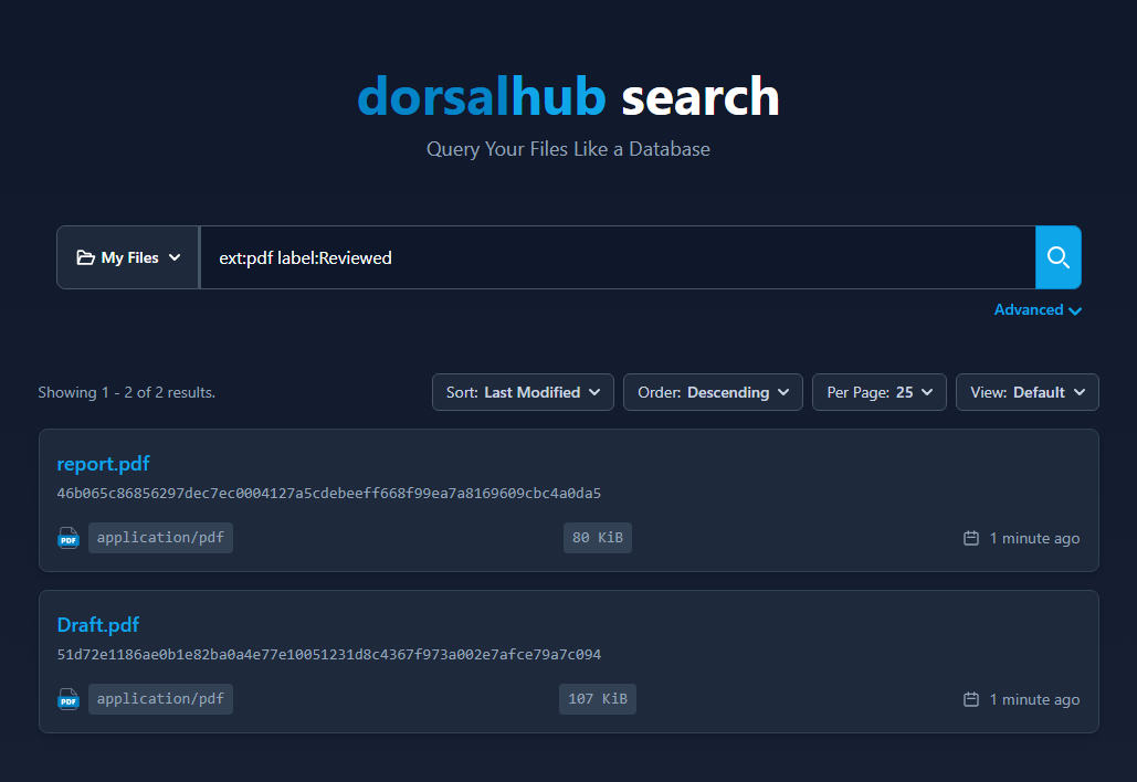 DorsalHub Web Search Interface